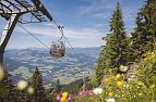 Gondel Alpenrosenbahn im Sommer in Westendorf_(C)Mathäus Gartner