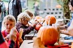 Kürbiswochen Hexenwasser Söll_Kinder beim Kürbis verzieren